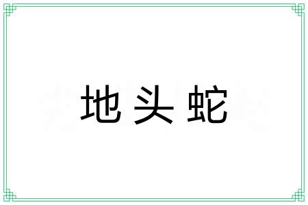 地头蛇 地头蛇