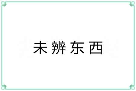 未辨东西