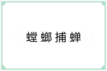 螳螂捕蝉 螳螂捕蝉
