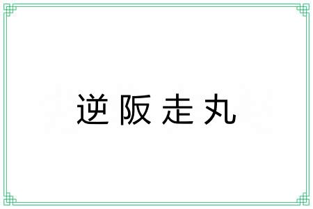 逆阪走丸