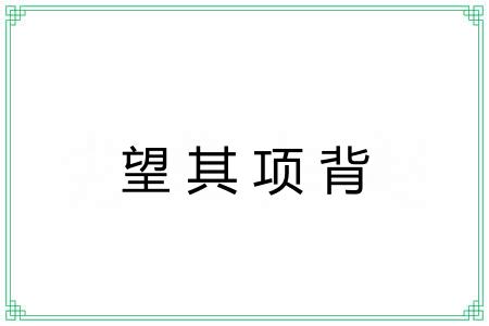 望其项背 望其项背