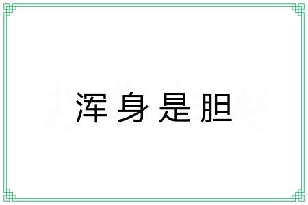 浑身是胆 浑身是胆