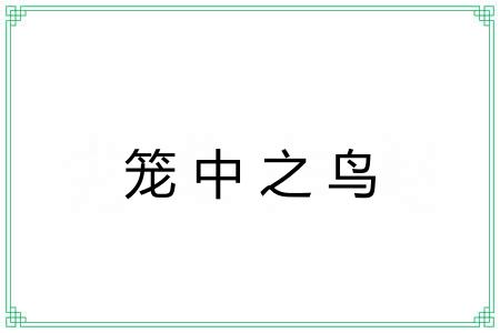 笼中之鸟 笼中之鸟