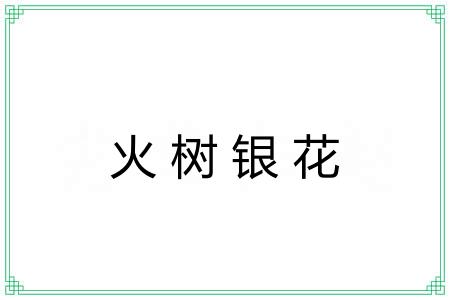 火树银花 火树银花