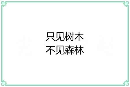 只见树木不见森林