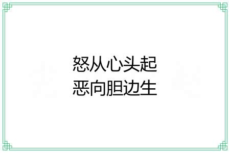 怒从心头起恶向胆边生