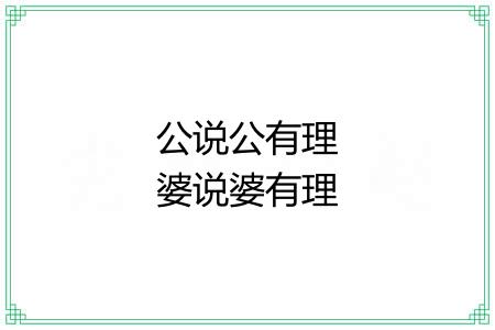 公说公有理婆说婆有理 公说公有理婆说婆有理